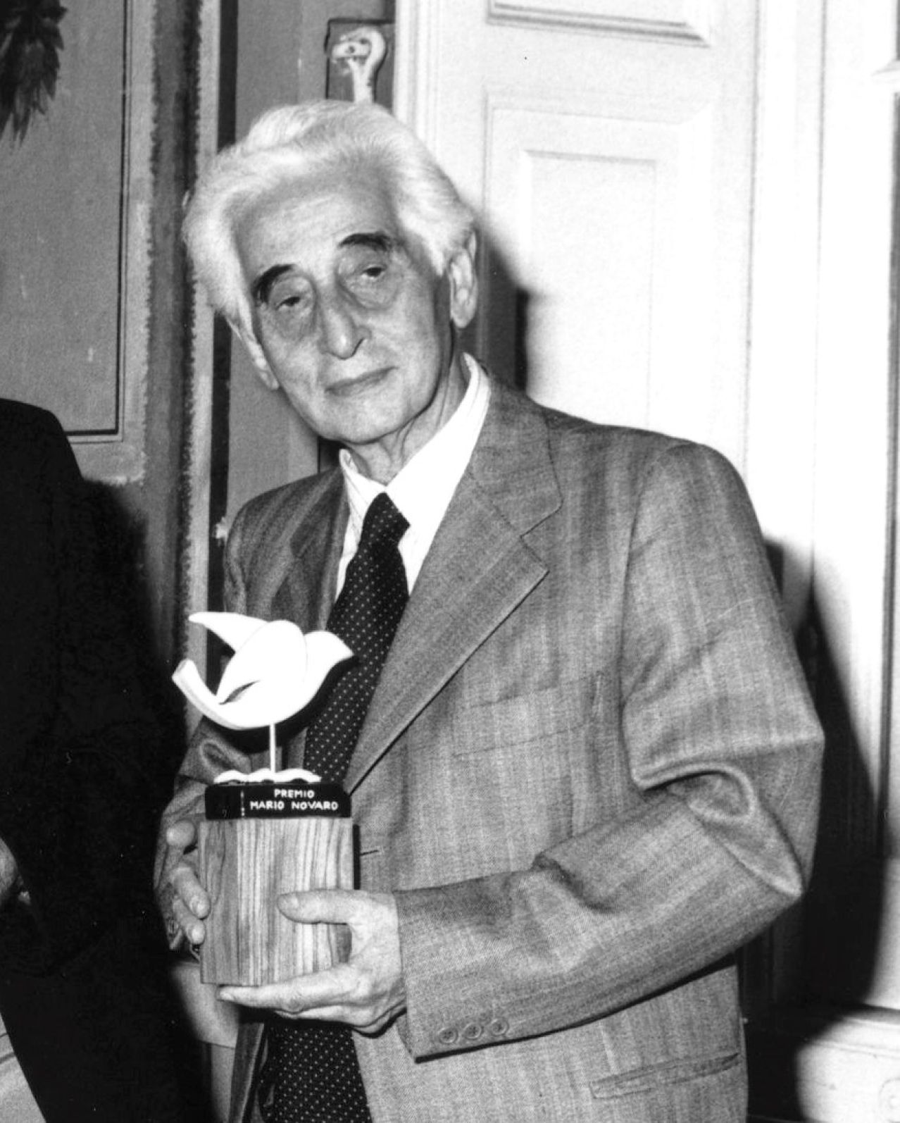Enzo Maiolino